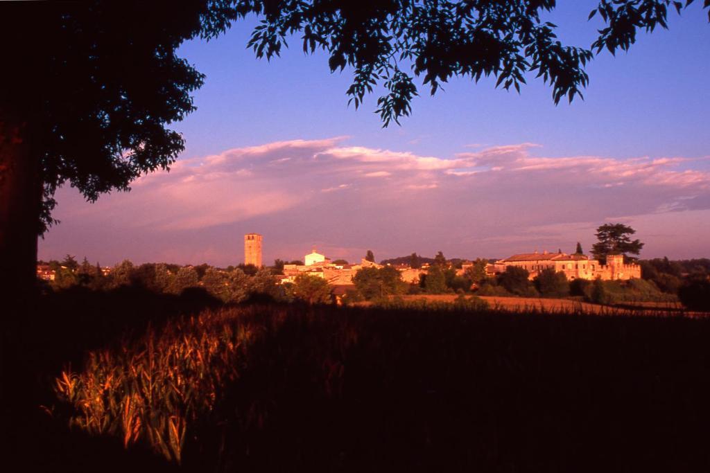 Antica Dimora Dell'Ortolano Apartamento Castellaro  Exterior foto